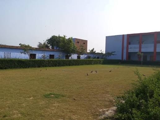 Grounds